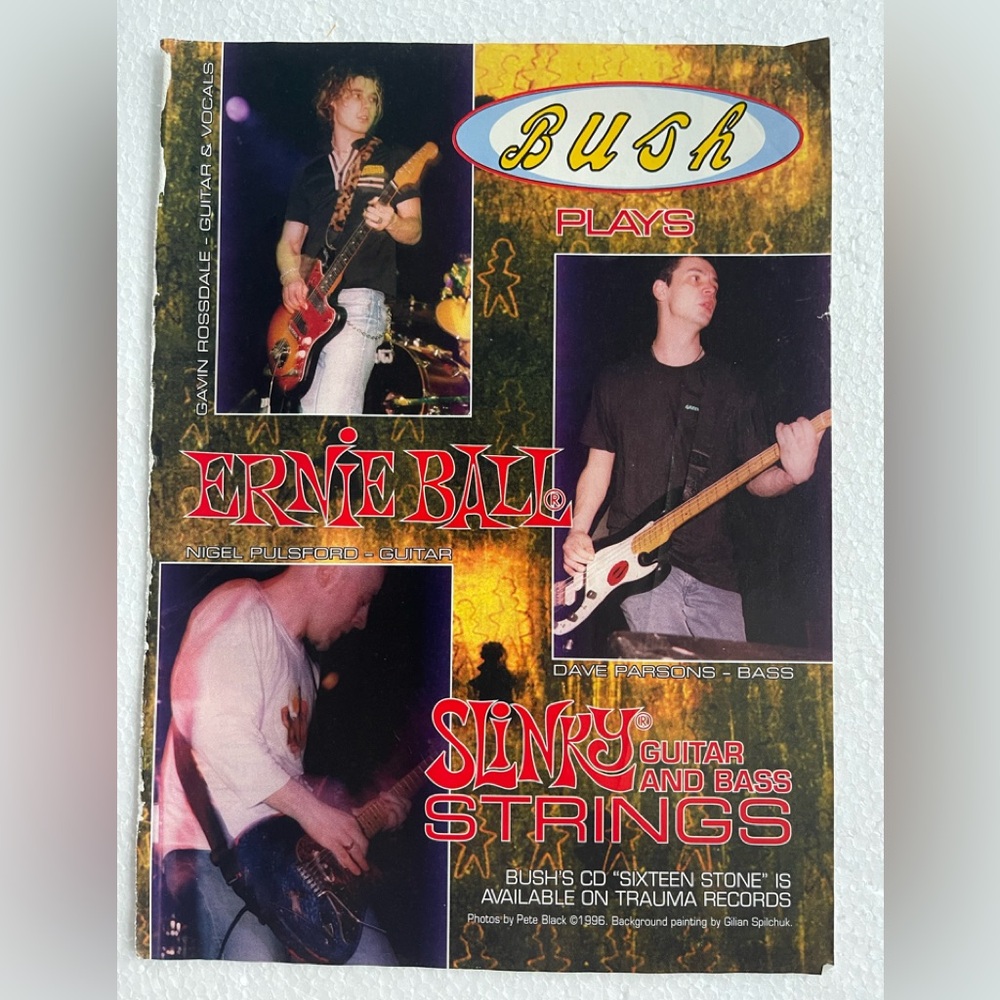 Bush Ernie Ball Strings ad